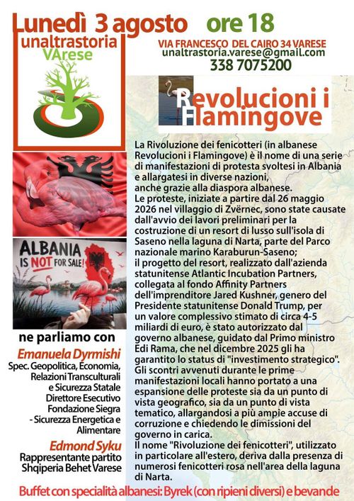 La rivoluzione dei Fenicotteri